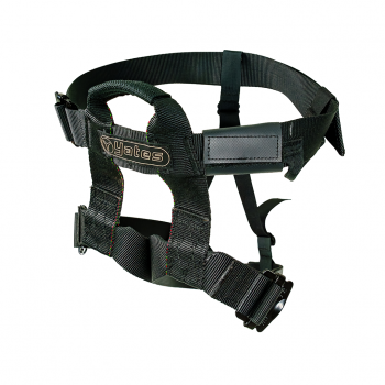 310 Rescue Harness